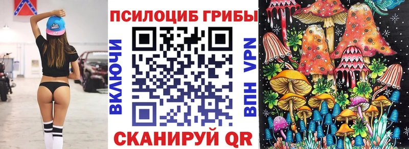 Галлюциногенные грибы Cubensis  Гай 