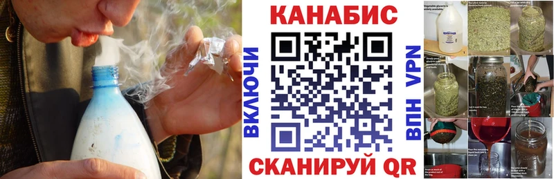 OMG маркетплейс  Гай  Шишки марихуана White Widow 